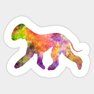 Bedlington Terrier in watercolor Sticker